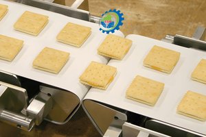 PU  Conveyor Belt